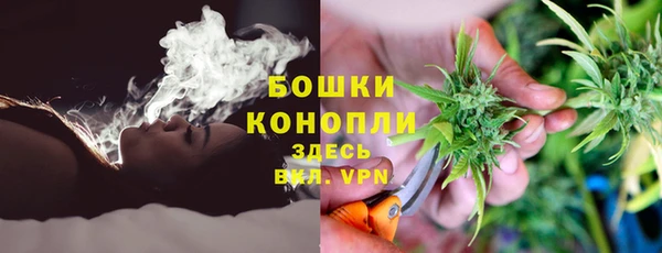 винт Арсеньев