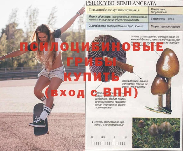 марки nbome Аркадак